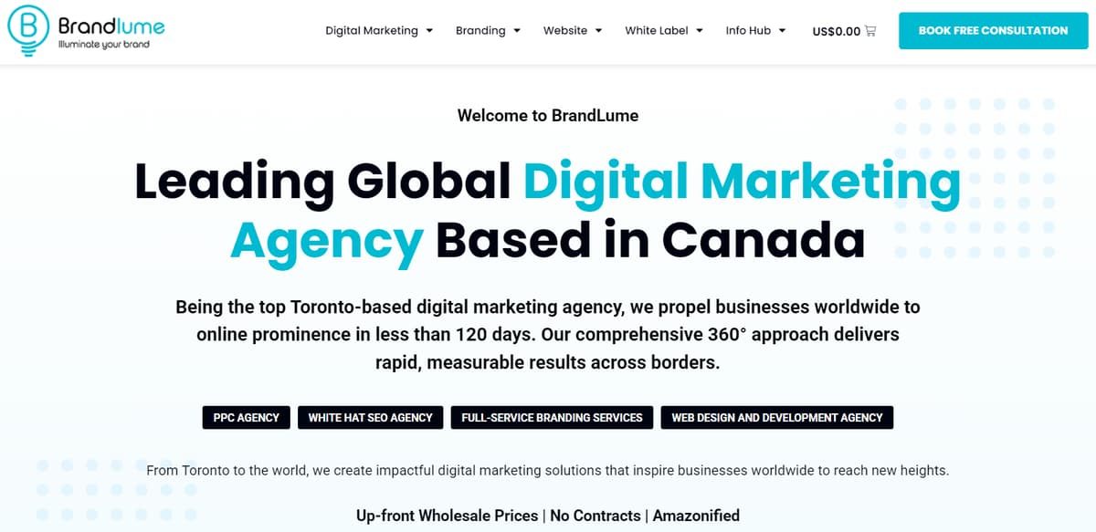 Screenshot of the BrandLume digital marketing agency website homepage.